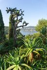 Blick vorbei an Aloe und Kakteen zur Bucht von Cap Ferrat